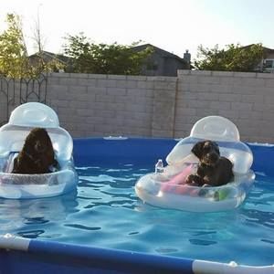 Meet your Posher, Carol